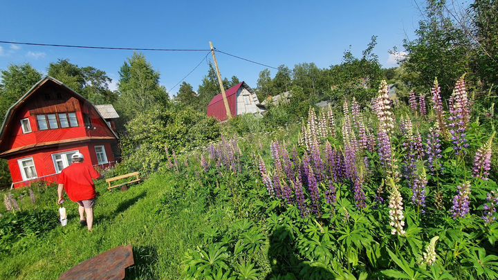 Дача 40 м² на участке 6 сот.