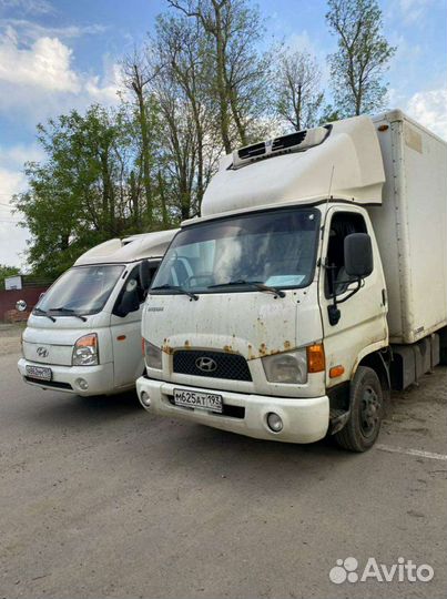 Грузоперевозки рефрижератор допог, ADR