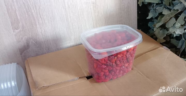 Шиповник Лесной