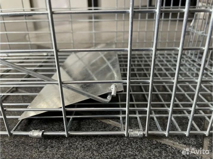 Кошколовка/котоловка в аренду