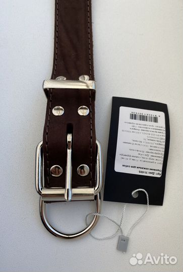 Ошейник для собак