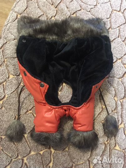 Комбинезон для собаки новый