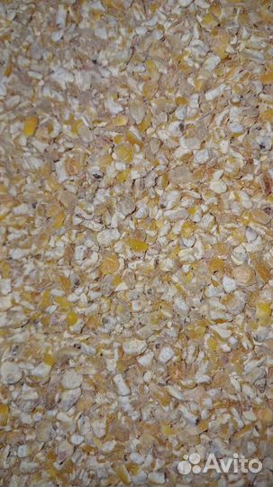 Зерно пшеница ячмень кукуруза