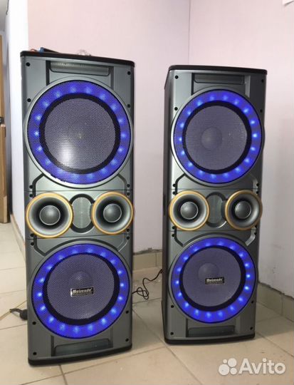 Акустическая система профессиональная ElTronic