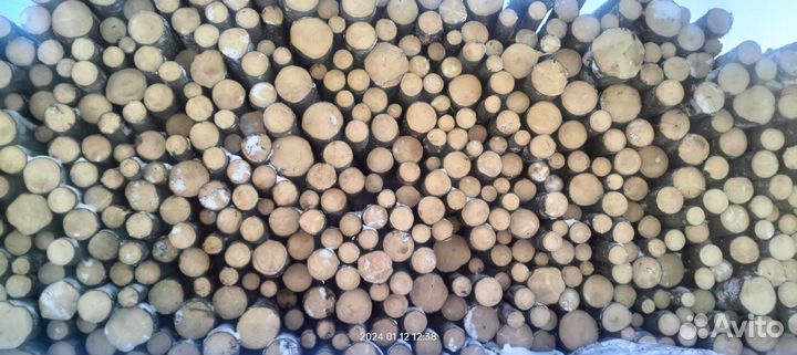 Лес кругляк пиловочник сосна ель