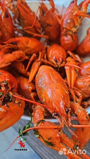 Вкусные раки варка непревзойденная