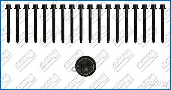 Компл.болтов гбц Nissan 81031000 Ajusa