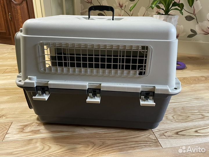 Переноска для собак - аренда