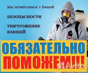 Уничтожение ос шершней клещей комаров короеда