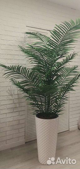 Искусственная пальма