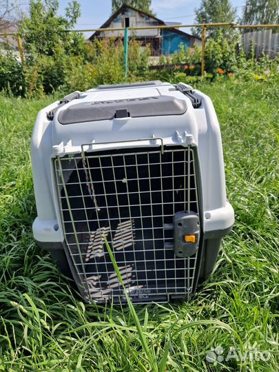 Переноска для собаки