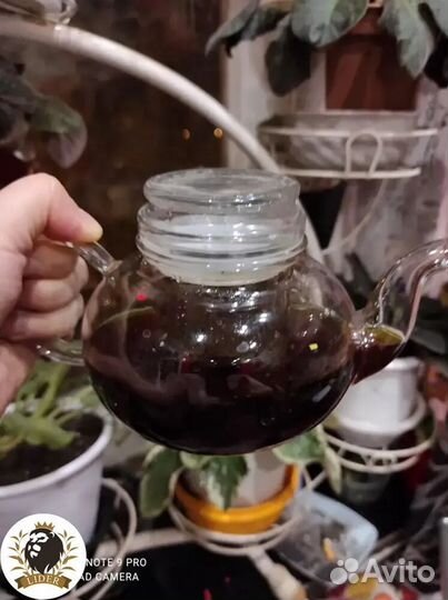 Иранский чай оптом