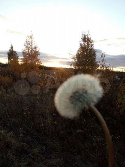 Участок 10 сот. (ИЖС)