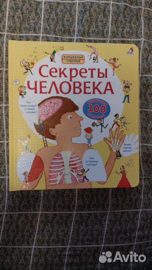 «Волшебные створки»Секреты человека