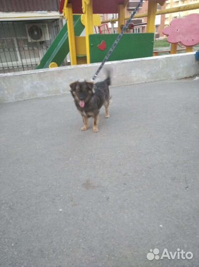 Маленькая Эля