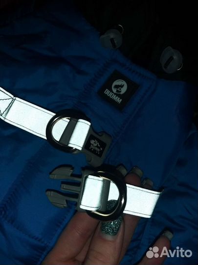 Зимний комбинезон для собаки