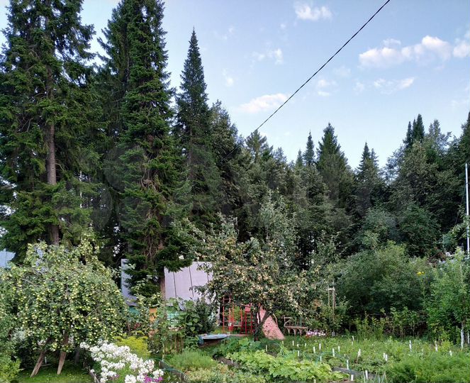 Дача 30 м² на участке 5,1 сот.