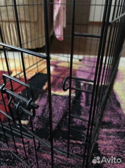 Клетка для собак/кошку в аренду