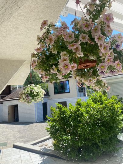 Комната 22 м², 2/4 эт.