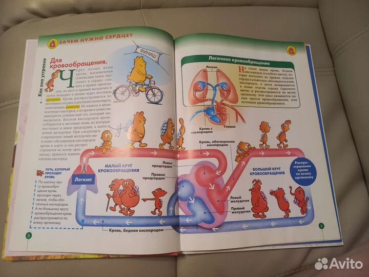 Детская энциклопедия