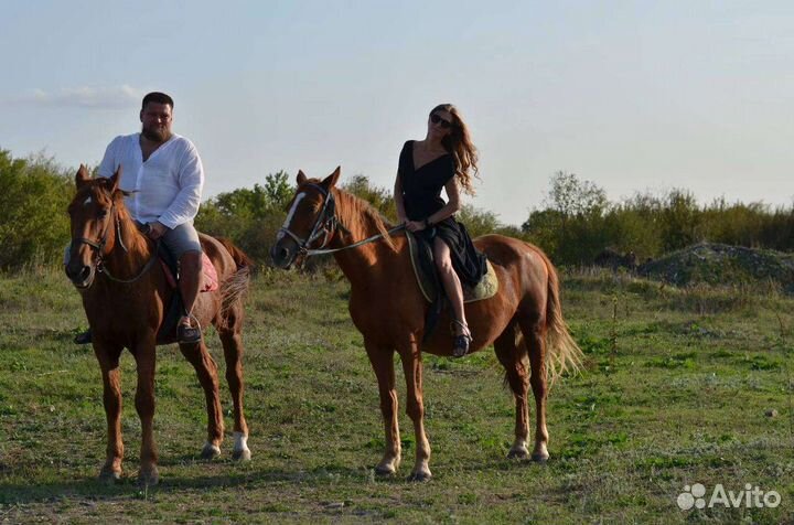 Индивидуальные экскурсии