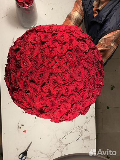 101 роза красная. 60 см 70 см 80 см