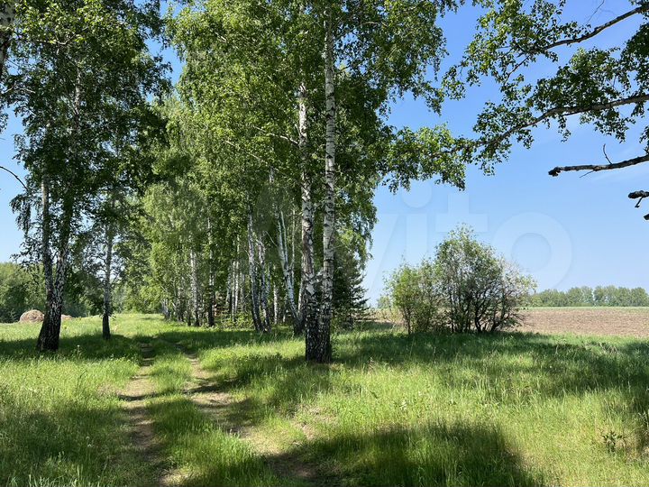 Участок 30 га (СНТ, ДНП)