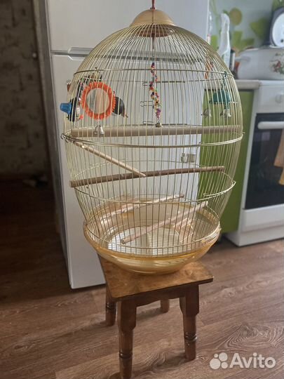 Большая клетка для птиц
