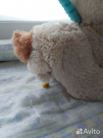 Собака-робот