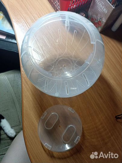 Шар для грызунов