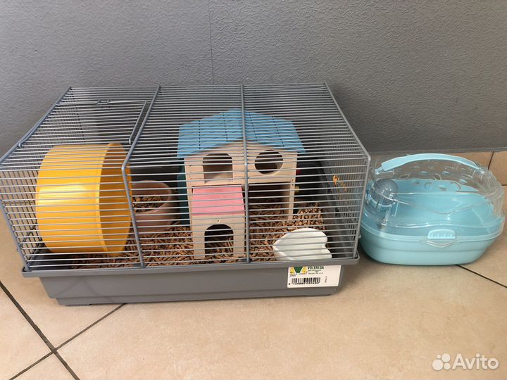 Продаю хомяка С домом И С набором еды