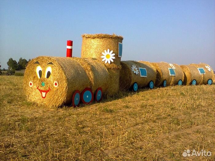 Луговое сено в рулонах и тюках