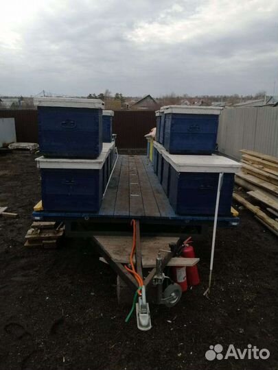 Прицеп для перевозки пчел и пасека