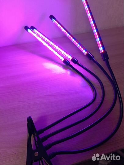 Фитолампа для растений