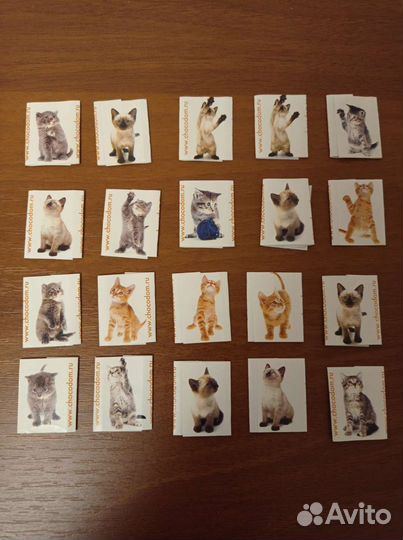 Фантики с кошками