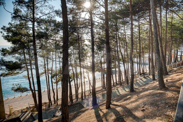 3-к. квартира, 111,1 м², 10/11 эт.