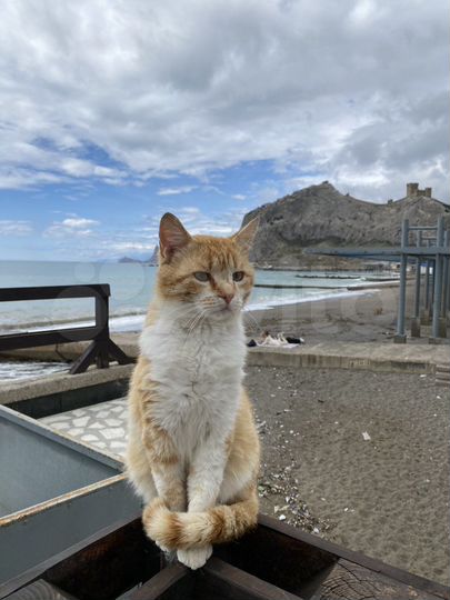 Дом 150 м² на участке 5 сот.