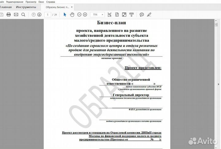 Бизнес план, финансовая модель качественно в срок