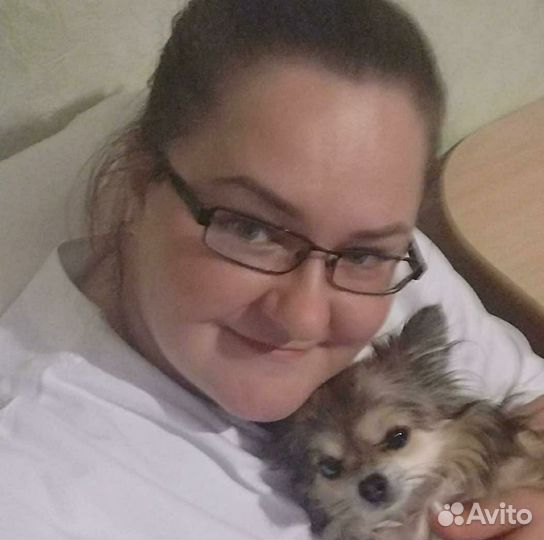 Передержка для животных, Дог-ситтер/зооняня