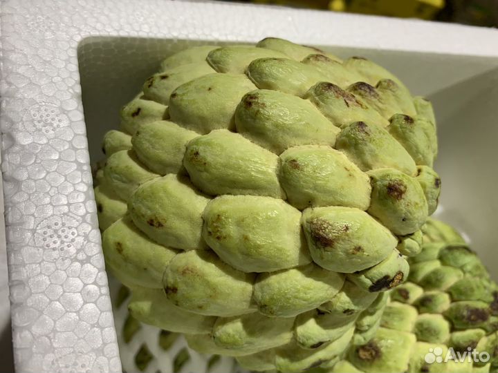 Черимойя свежая отборная вкусная сахарное яблоко
