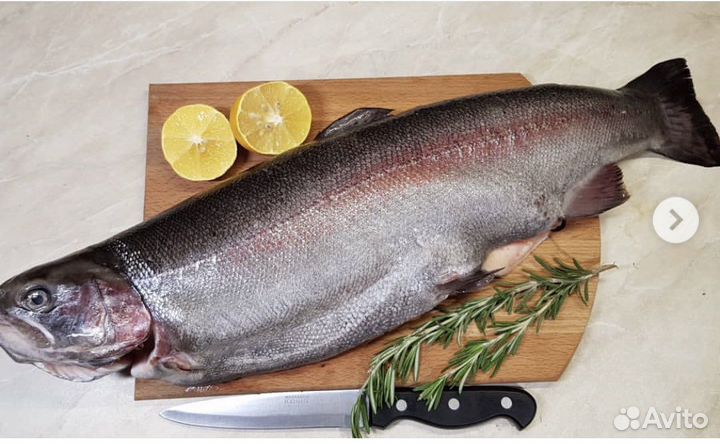 Охлажденная форель