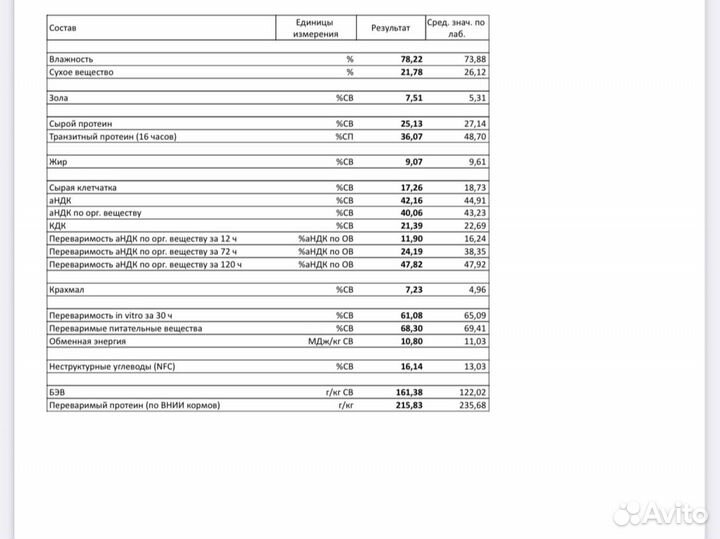 Пивная дробина (свежая)