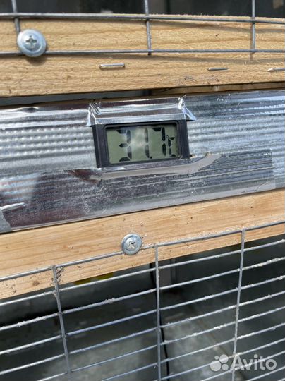 Клетка брудер для цыплят