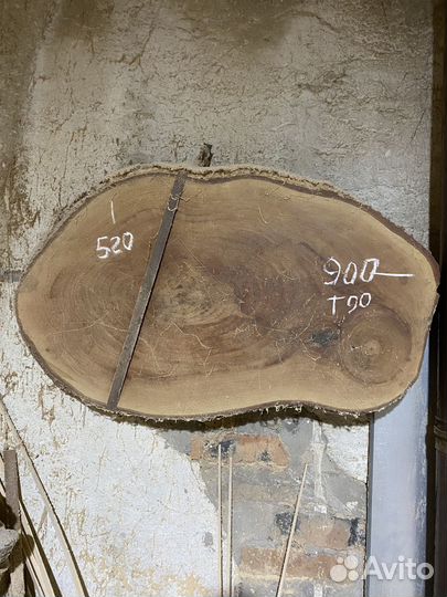 Спил Дерева слэб