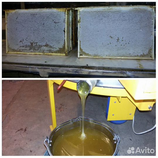 Мед натуральный 2023г (бесплатная доставка)