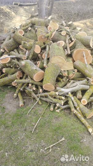Дрова неколотые