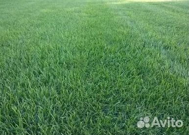 Гидропосев