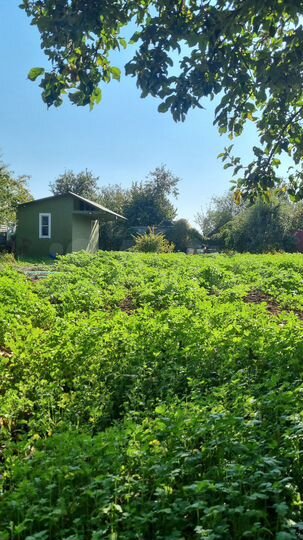 Дача 20 м² на участке 6 сот.