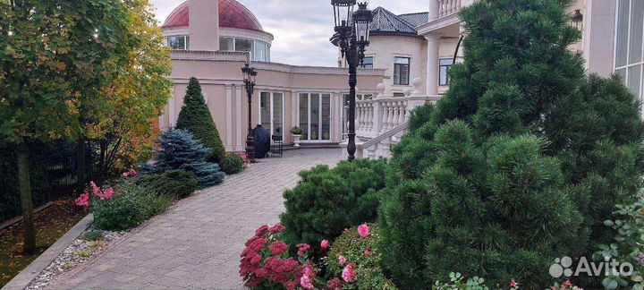 Ландшафтный дизайн участка / растения для сада