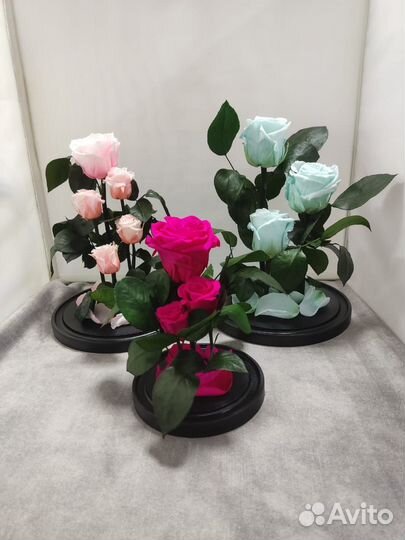 Вечная роза в колбе